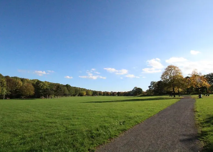 Nauerz ווסלינג